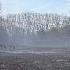 24-12-06 15-33-19 1660